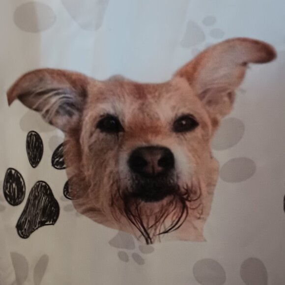 NWOT ~ Women's Dog Faces & Paw Print Lounge Pants/Pajama Bottoms (Size: Large) - Picture 6 of 9